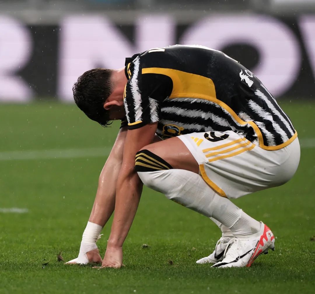 津门虎找到 津门虎找到